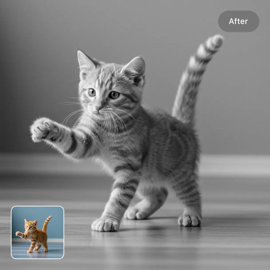 color_photo_to_black_and_white preview image