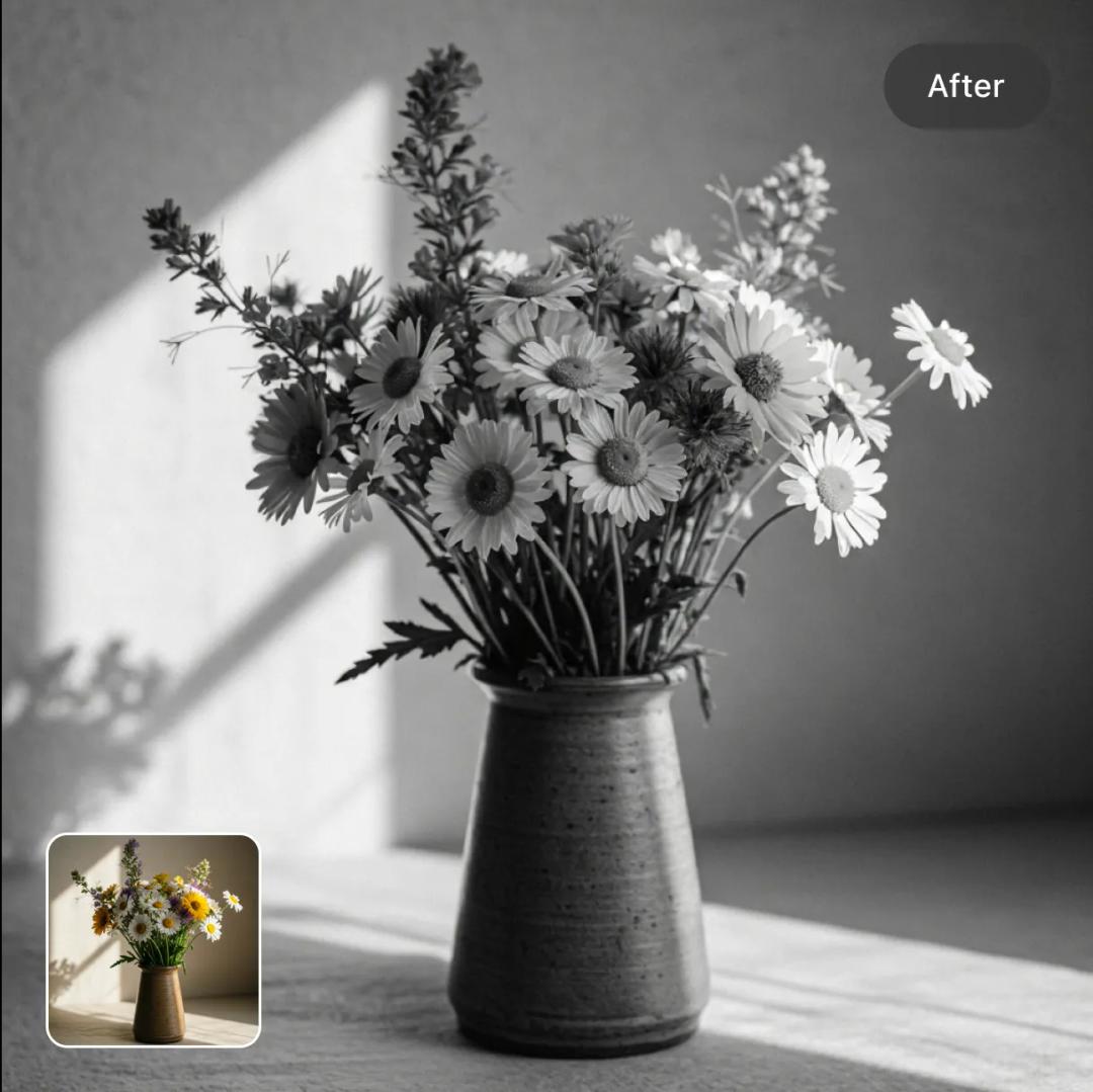 color_photo_to_black_and_white preview image