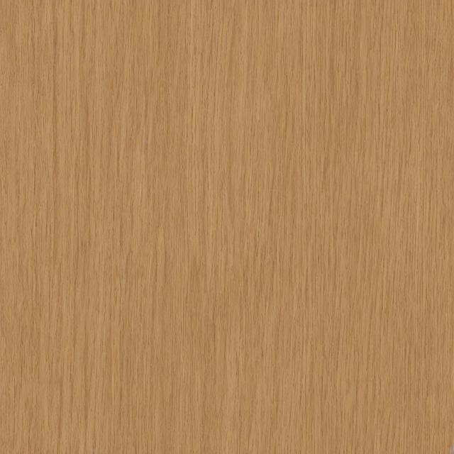 Random Animal 17