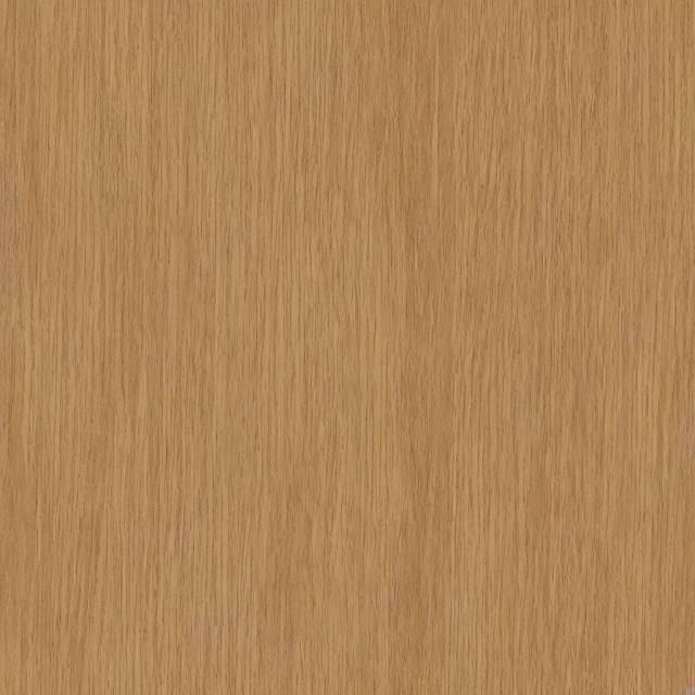 Random Animal 18