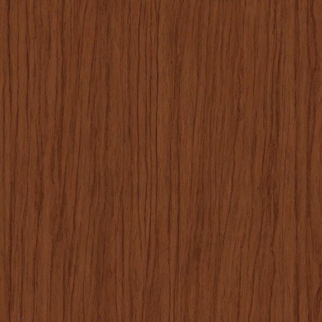 Random Animal 10