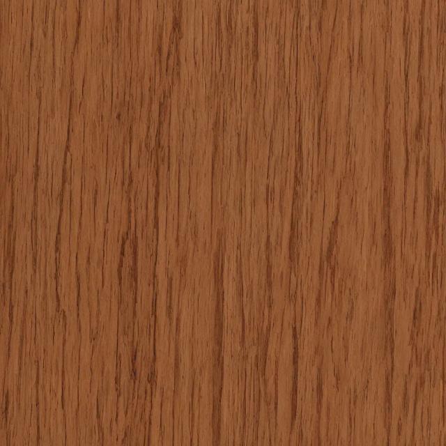 Random Animal 15