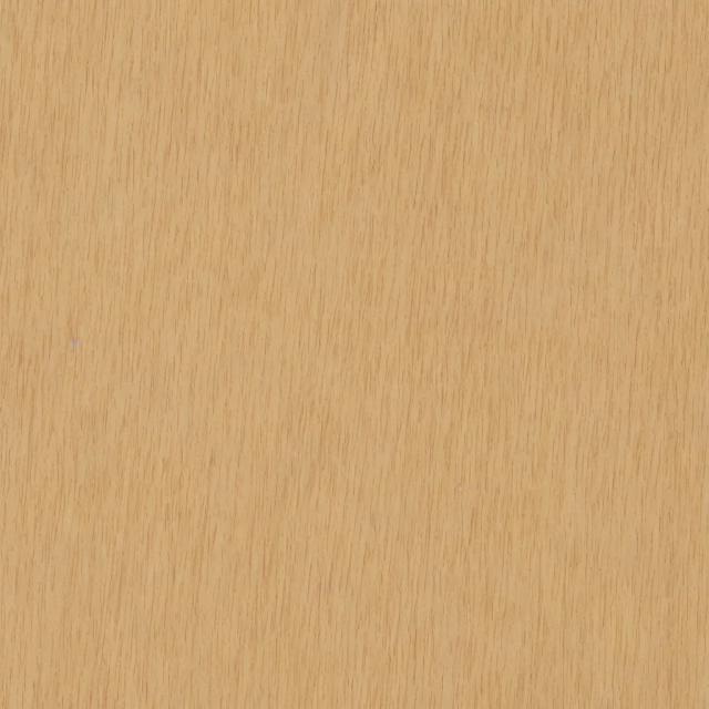 Random Animal 10