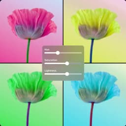 影像 HSL placeholder