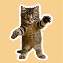 圖片概要 placeholder