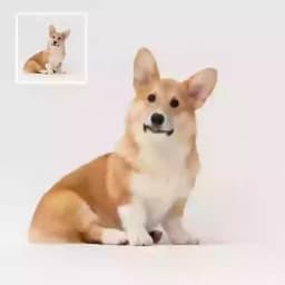 圖片轉視訊 placeholder